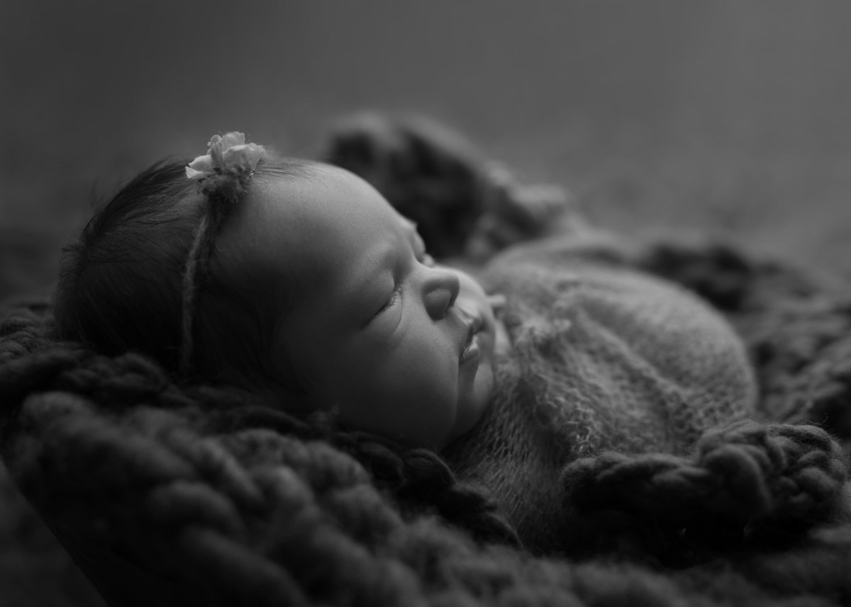 Traverse City, Michigan-Newborn-Photography4