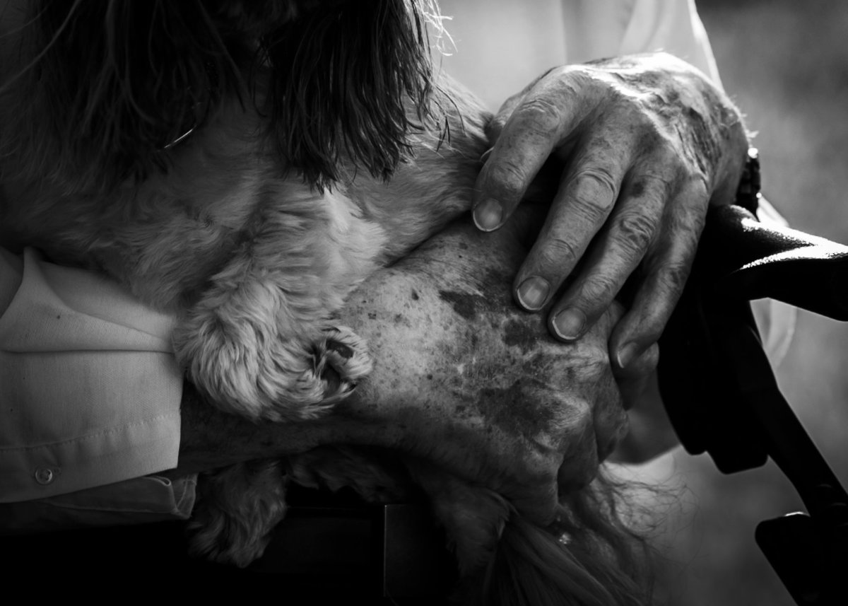 Traverse-city-family-photography.1