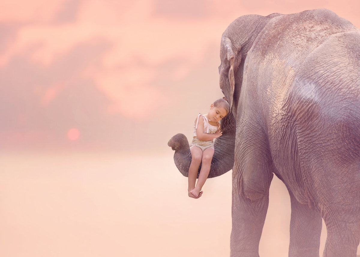 Traverse City,Michigan-Family-Photographer-45