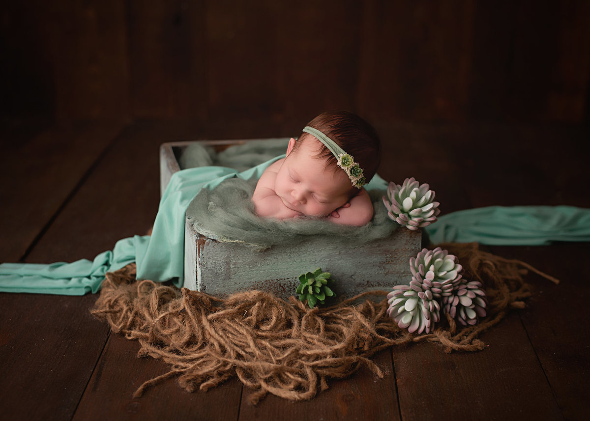 traverse-city-photography-15.1