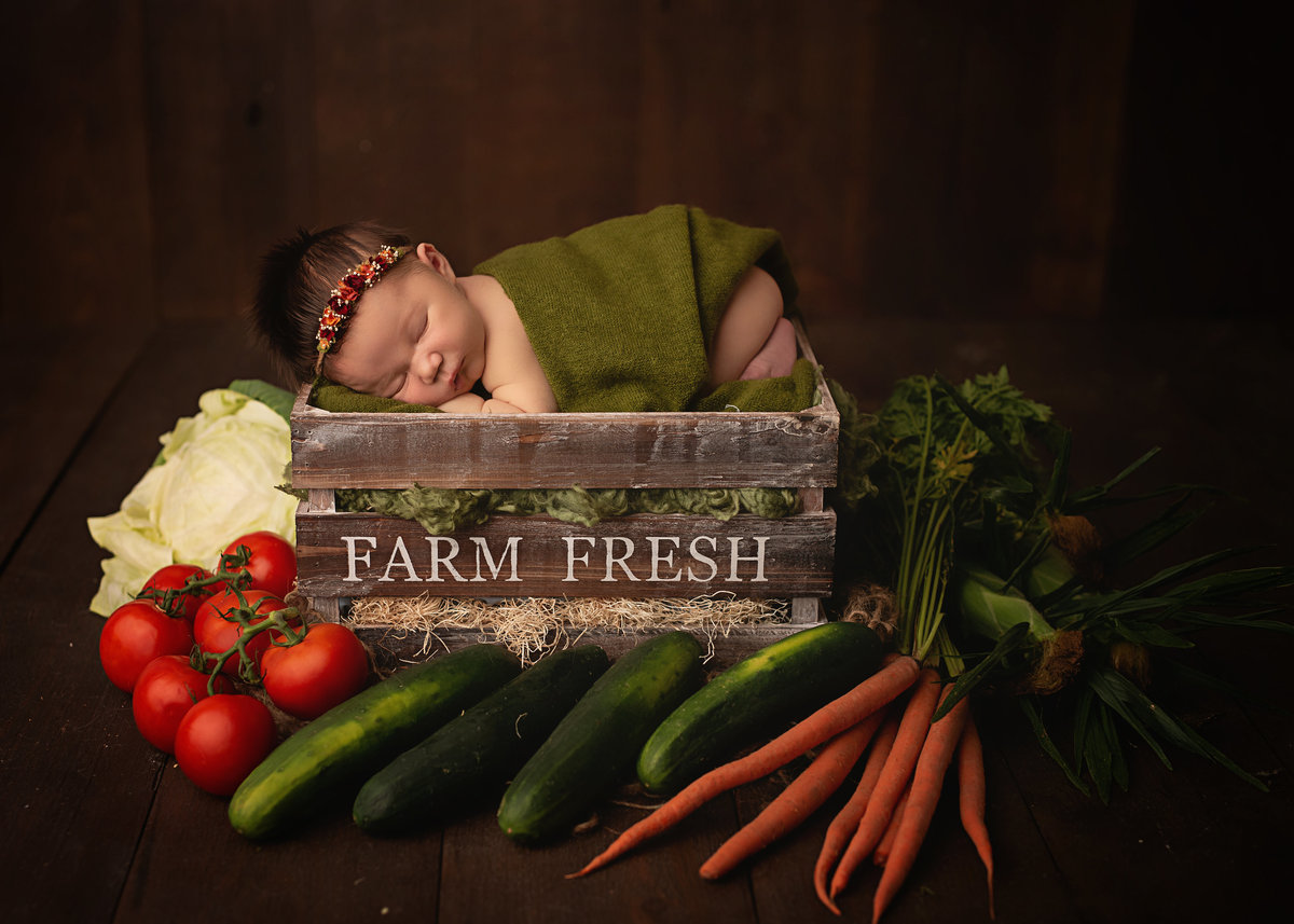 traverse-city-photography-23.1