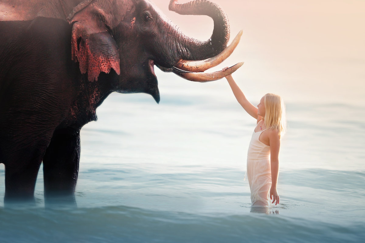 Traverse City,Michigan-Family-Photographer-37