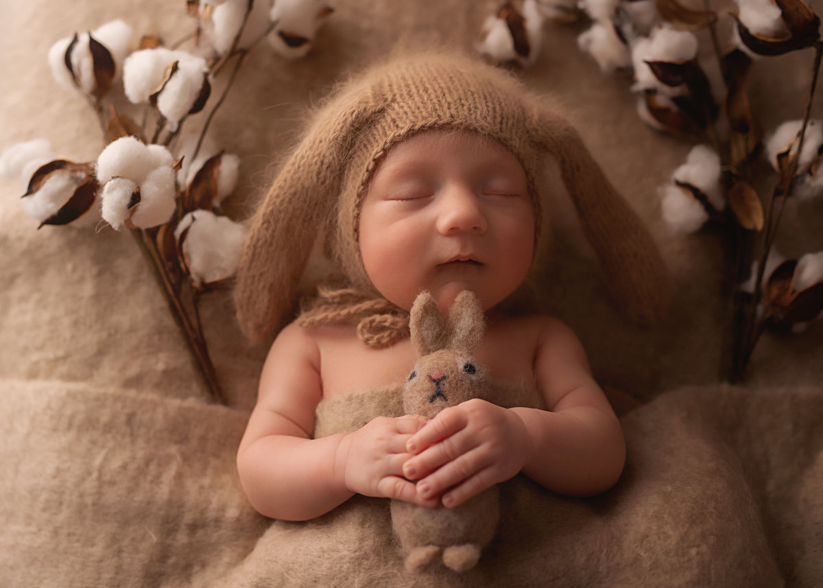 traverse-city-newborn-photographer-10.1