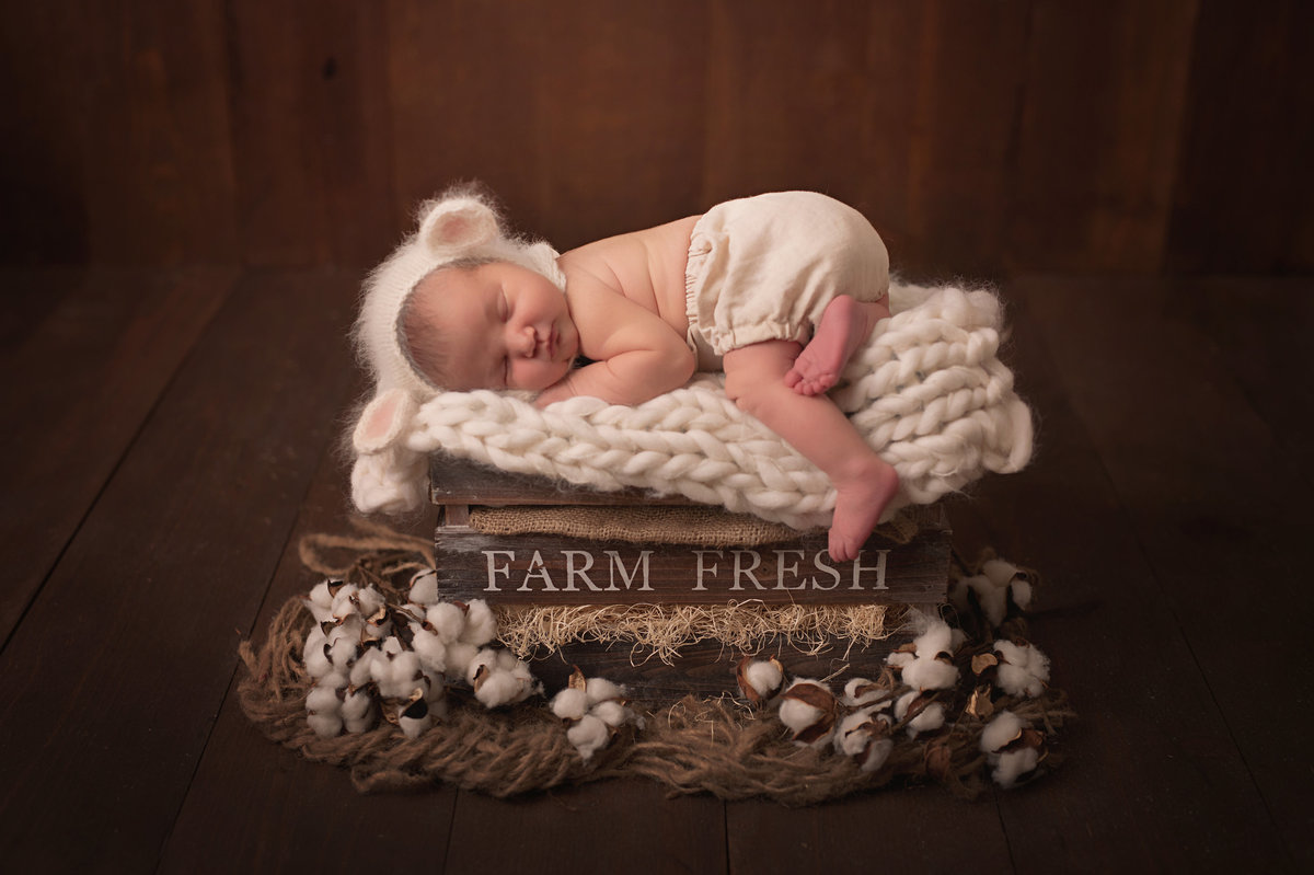 Traverse-city-newborn-photography-23.1