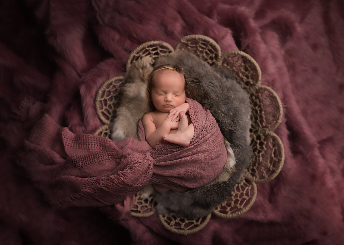 Traverse-city-newborn-photography1