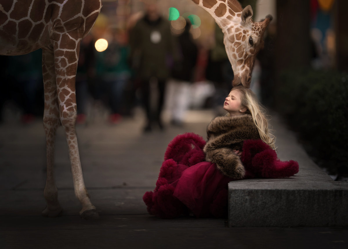 Traverse City,Michigan-Family-Photographer-53