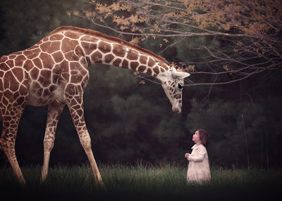 Traverse-city-family-photography17